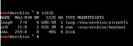 A prompt with the output of lsblk